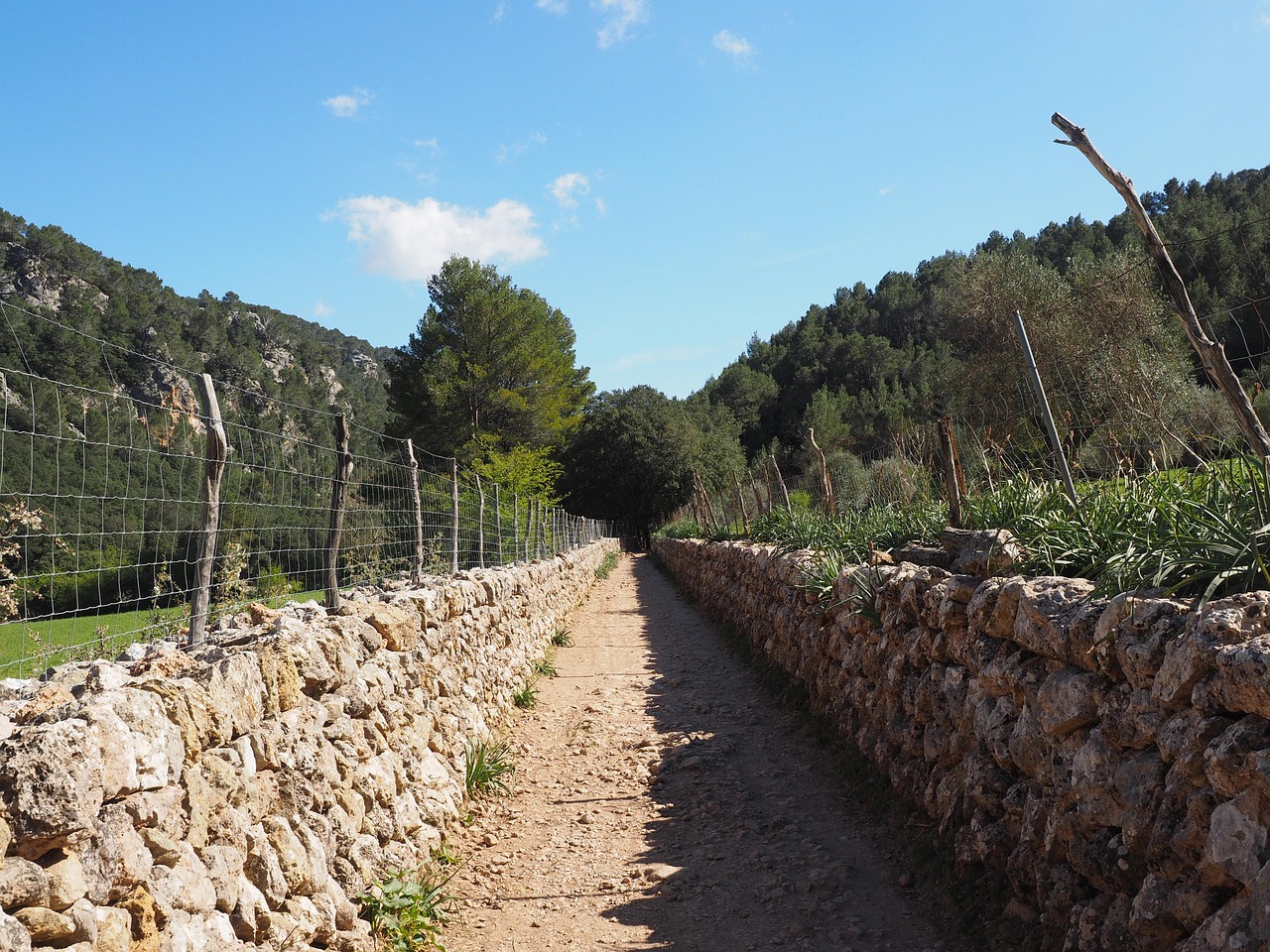 Path, dirt road, stone wall in Riverside, CA